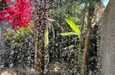 Casa para temporada com Piscina - Foto 46