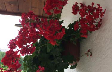 Ca' dello Scoiattolo - Foto 29