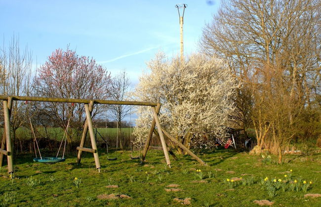 Wohnung in Semlow mit Garten und Terrasse - Foto 14