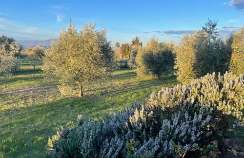 Villa Miranda - Foto 32