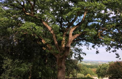 Agriturismo Il Caggio - Foto 58