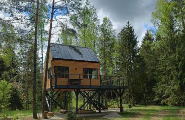 Zdalnie z Lasu - Siedlisko w Puszczy Białowieskiej - Foto 34