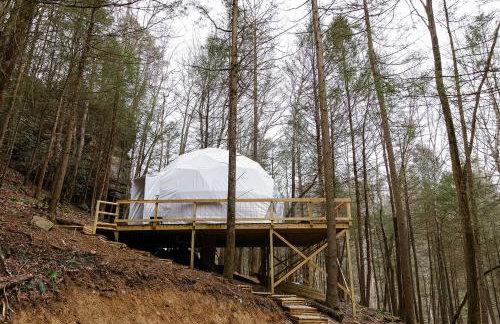 "The Perch" Elevated Woodsy Modern Stay w/ Hot Tub - Foto 14