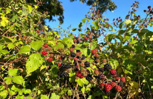 Le Logis Courtelay by Melrose - Photo 46