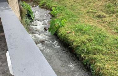 Brisa da Ribeira - Photo 32