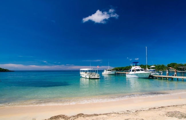 Coral Vista #5 - Foto 29