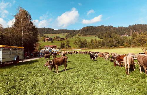 Seeperle Souterrain - Photo 2