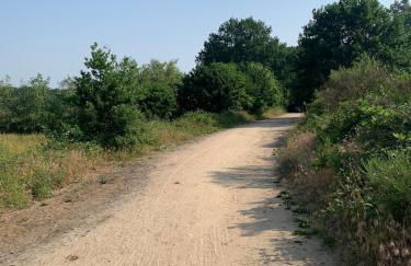 Ferienwohnung LA MAISON mit Sauna am See - Foto 11