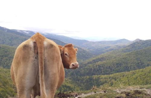 Altxabi Apartamento Rural - Foto 36