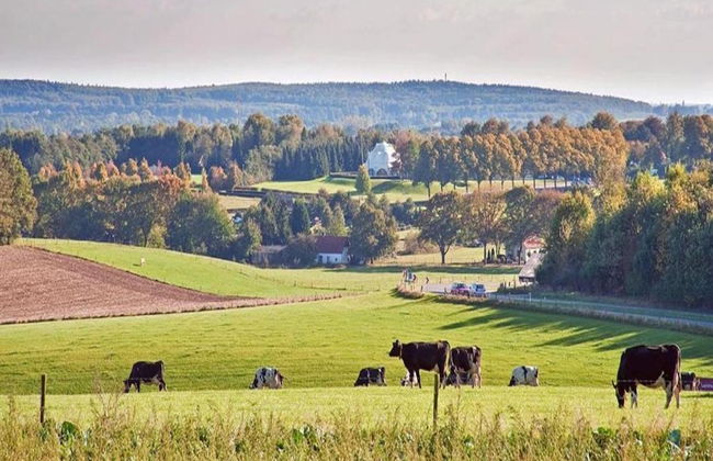 Holiday Home in Gelderland Near Nature Trails - Photo 39