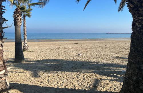 Vineyard Farmhouse in Massignano - Foto 37