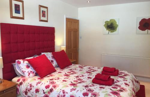 Little Gem - Photo 11