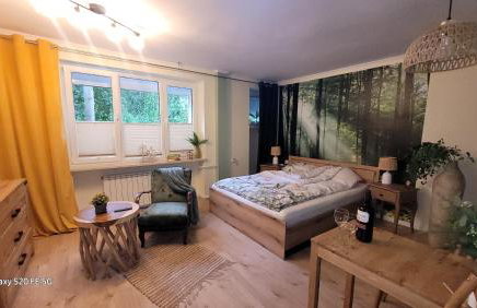 Apartament'' Leśny przy parku'' - Foto 1