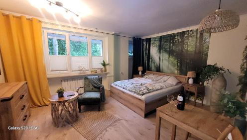 Apartament'' Leśny przy parku'' - Foto 1