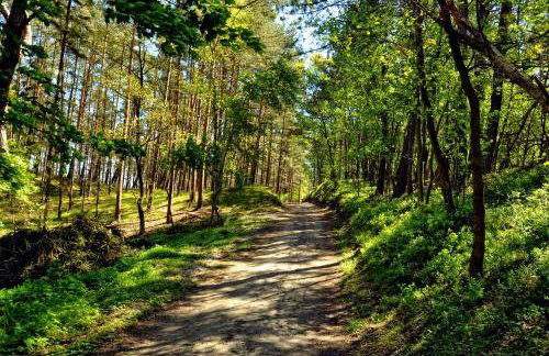 Apartament Ohar - Foto 16