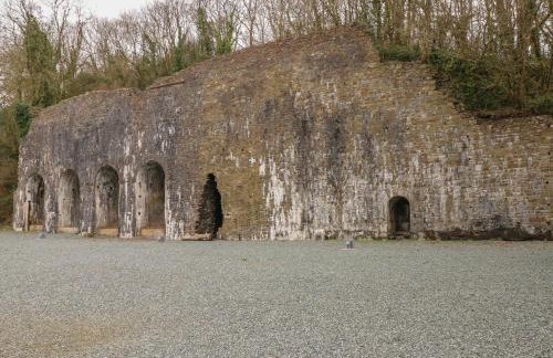 Cwtch Lodge 42 - Foto 25