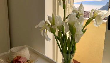 Relax Maratea - Foto 2