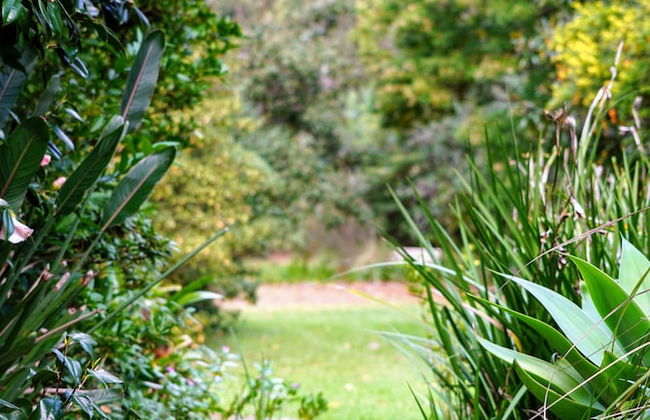 Kiwarrak Country Retreat - Foto 26