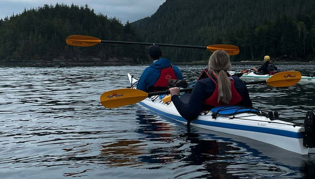 Telegraph Cove Kayak Tour - Foto 4