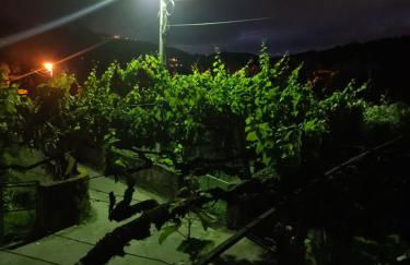 Casa Maria da Eira - Foto 56