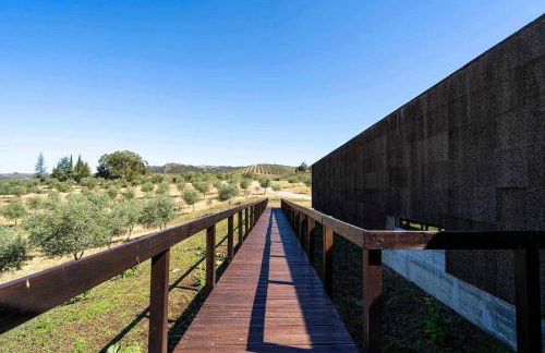 Acushla Golden House Douro - Foto 19