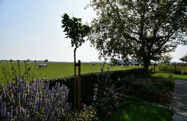 Tranquil Group Retreat in Nature - Foto 68