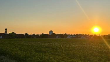 Dannerhof - Tinyhaus - Foto 4