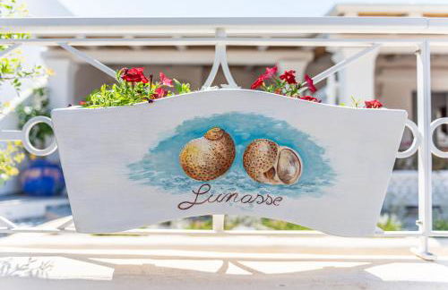 Terrazza e Conchiglie - Foto 30