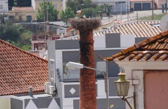 Silves Historical House - Photo 19
