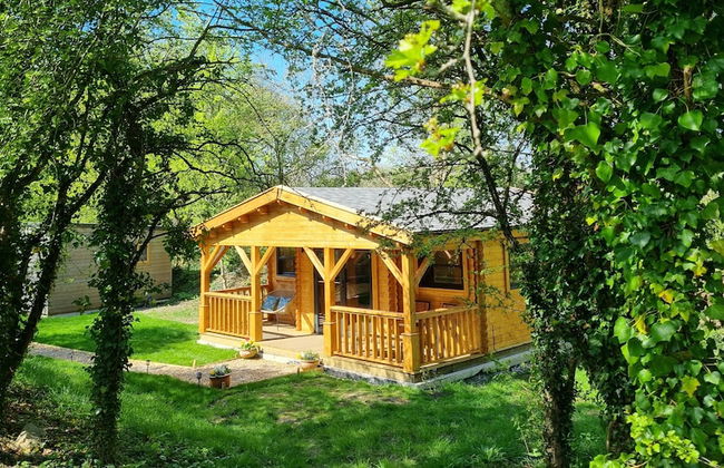 Glyndwr Vineyard - Foto 28