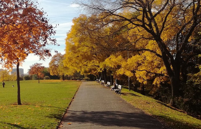 University Hotel - Foto 66