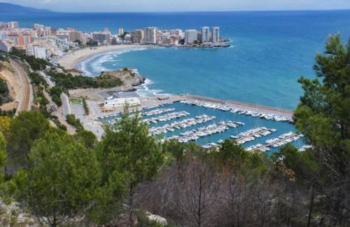 Concha Dorada - Foto 57