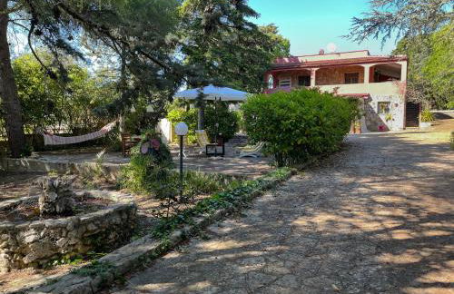 Casa Vacanze Villa Dan - Foto 40