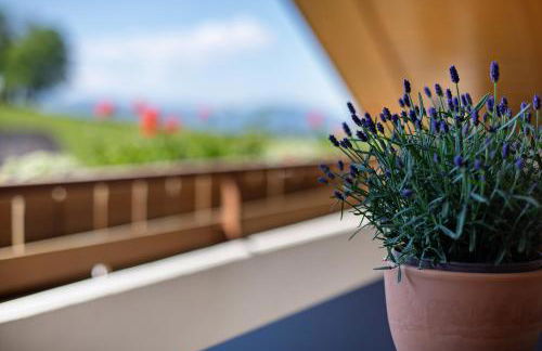 Ferienhaus Vogelsang - Foto 70