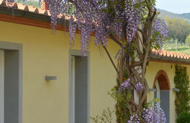 Podere delle Fanciulle - Foto 47