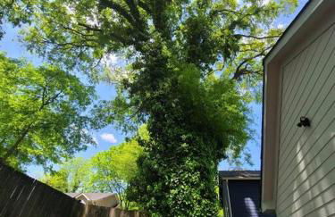 Atlanta Modern Beltline Bungalow - Foto 24