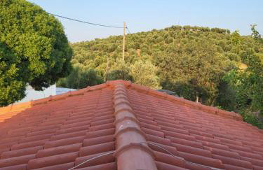 Mani Hill House - Foto 24