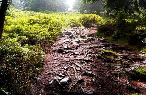 Dom Geologa - Foto 77