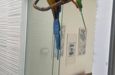 Viver de Temporada Canindé- 10 Minutos de Piranhas- 3 Minutos do Centro - Foto 41