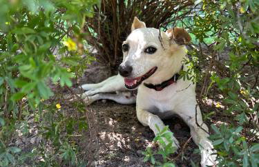 Dom pod Aniołem - Foto 24