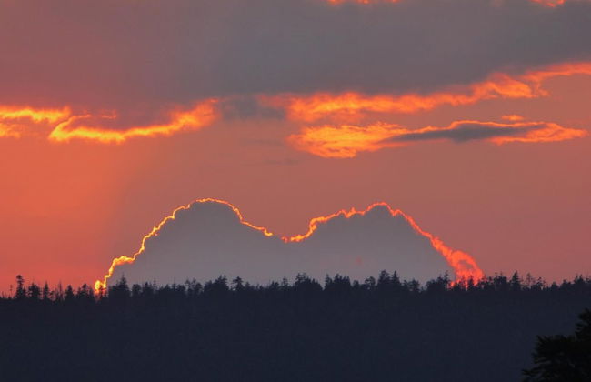 Landhaus Fischer - Foto 48