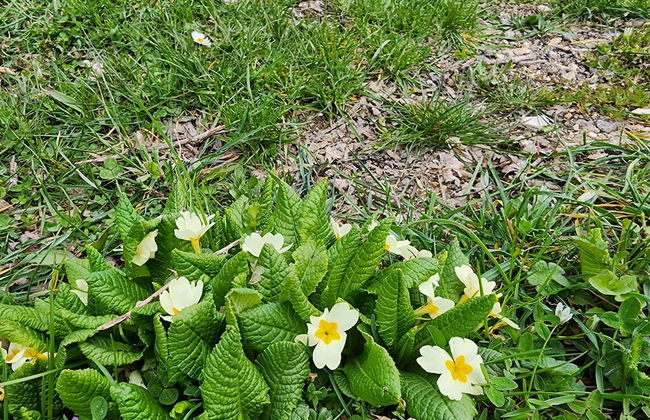 Sefa Konakları - Photo 16