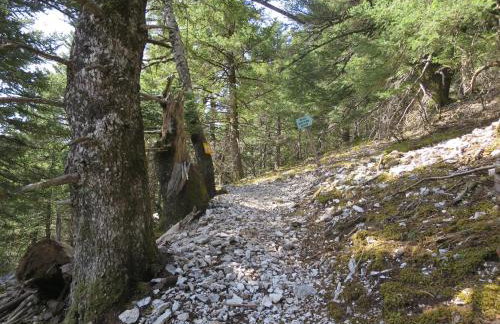 Villa Fotini - Foto 52