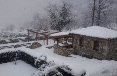 Petrina Theohari - Foto 17