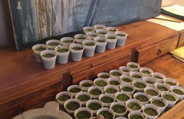 Villa Annetta - Foto 65