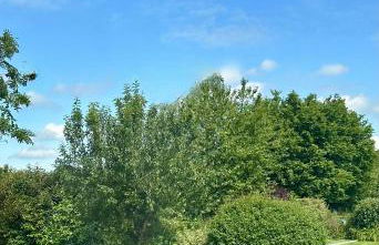 Holly Cottage - Foto 13