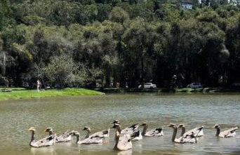 Refúgio na Serra Condomínio em Olaria, Nova Friburgo-RJ - Foto 53