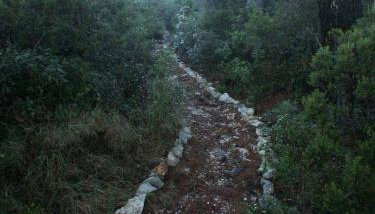 Apartments by the sea Pomena, Mljet - 614 - Foto 4