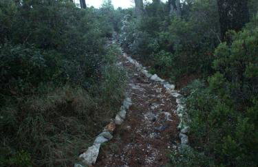 Apartments by the sea Pomena, Mljet - 614 - Photo 4