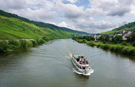 Weingut Matthias Dauns - Foto 9